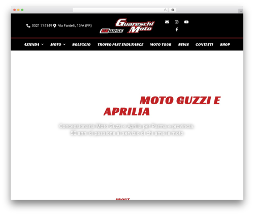 Linguise – Automatic multilingual translation (linguise) free WordPress plugin - guareschimoto.it