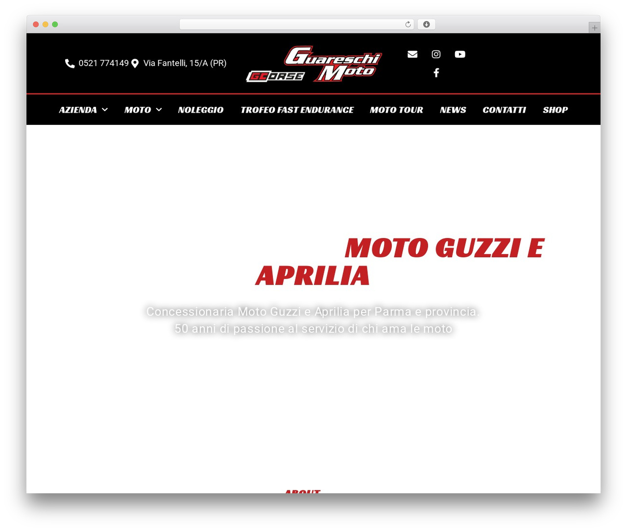 Hello Elementor WordPress website theme - guareschimoto.it
