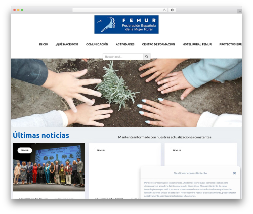 Hub elementor addons WordPress plugin - femur.es