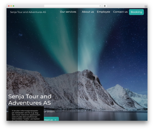 WordPress theme Mint Theme - senjatours.com