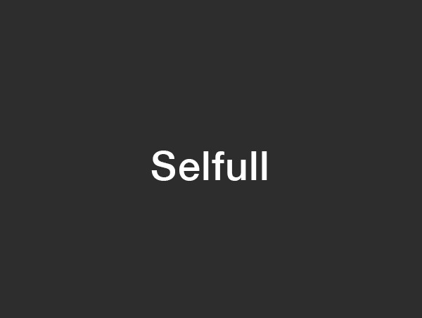WordPress theme Selfull by Selfull