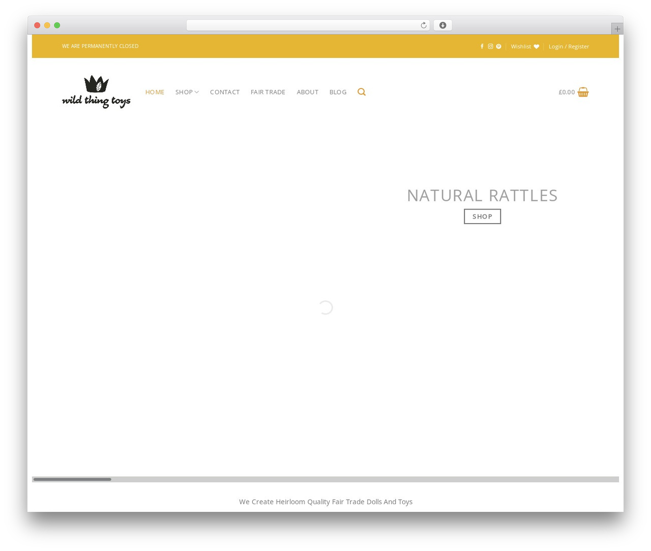 childtheme WordPress theme - wildthingtoys.com