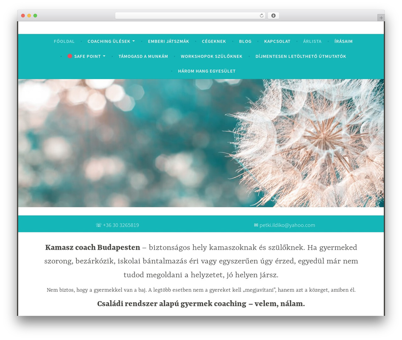 Dara theme WordPress - petkiildi.hu