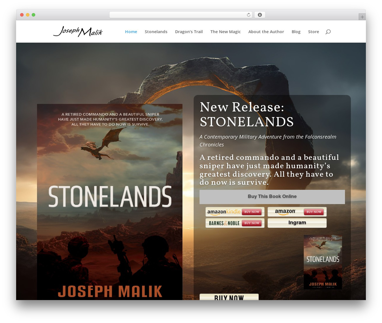 Divi WordPress theme - josephmalik.com