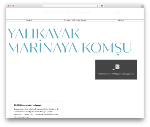 Hello Elementor theme WordPress - yalikavakloft.com