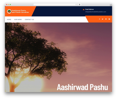 Industing WordPress theme - wildanimalbirdfoundation.com