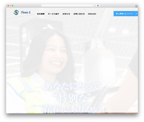 Tcd workflow WordPress plugin - sss-hr.com
