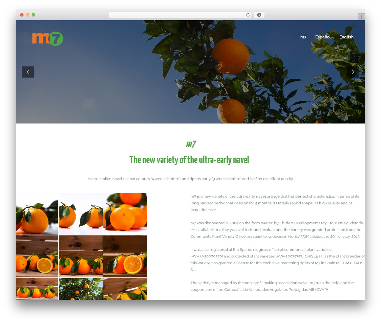 WordPress theme CoPro WordPress Theme - m7navel.com WordPress theme CoPro WordPress Theme - m7navel.com