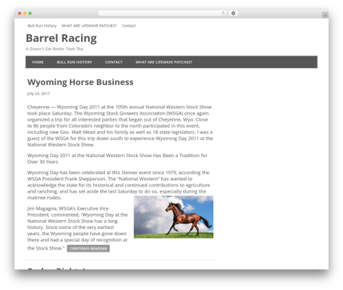 Minimize theme WordPress - ezrunpro.com