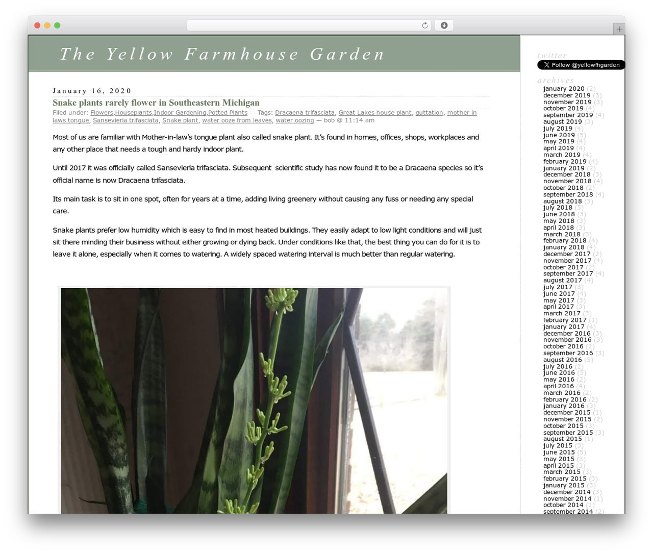 Theme WordPress WordPress Classic - yellowfarmhousegarden.com Theme WordPress WordPress Classic - yellowfarmhousegarden.com
