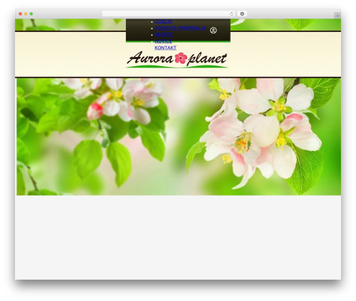 Max addons pro bricks WordPress plugin - aurora-planet.com