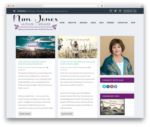WordPress theme Extra - nanjones.com