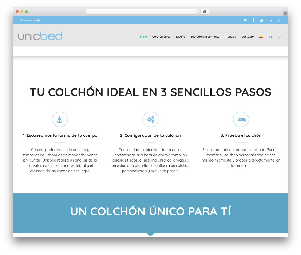 WordPress theme Dante - unicbed.com WordPress theme Dante - unicbed.com