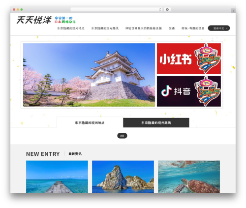 CORE THEME top WordPress theme - content-everyday.com