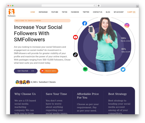 iThemer WordPress theme - smfollowers.net