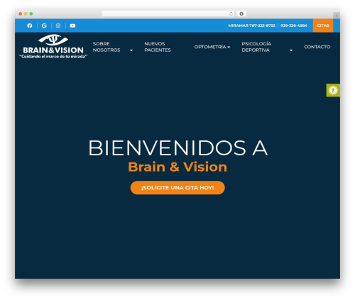 Parent Theme WordPress theme - brainvisionpr.com