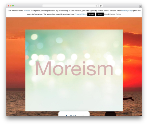 Pro WordPress theme - moreism.com