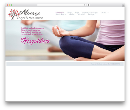 Theme WordPress Sonnet - morenowellness.com