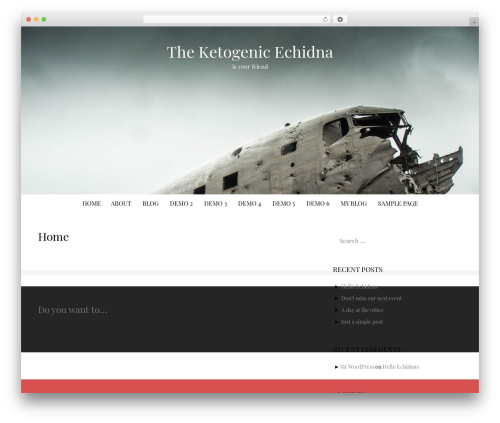 WordPress theme MadHat - ketoechidna.com