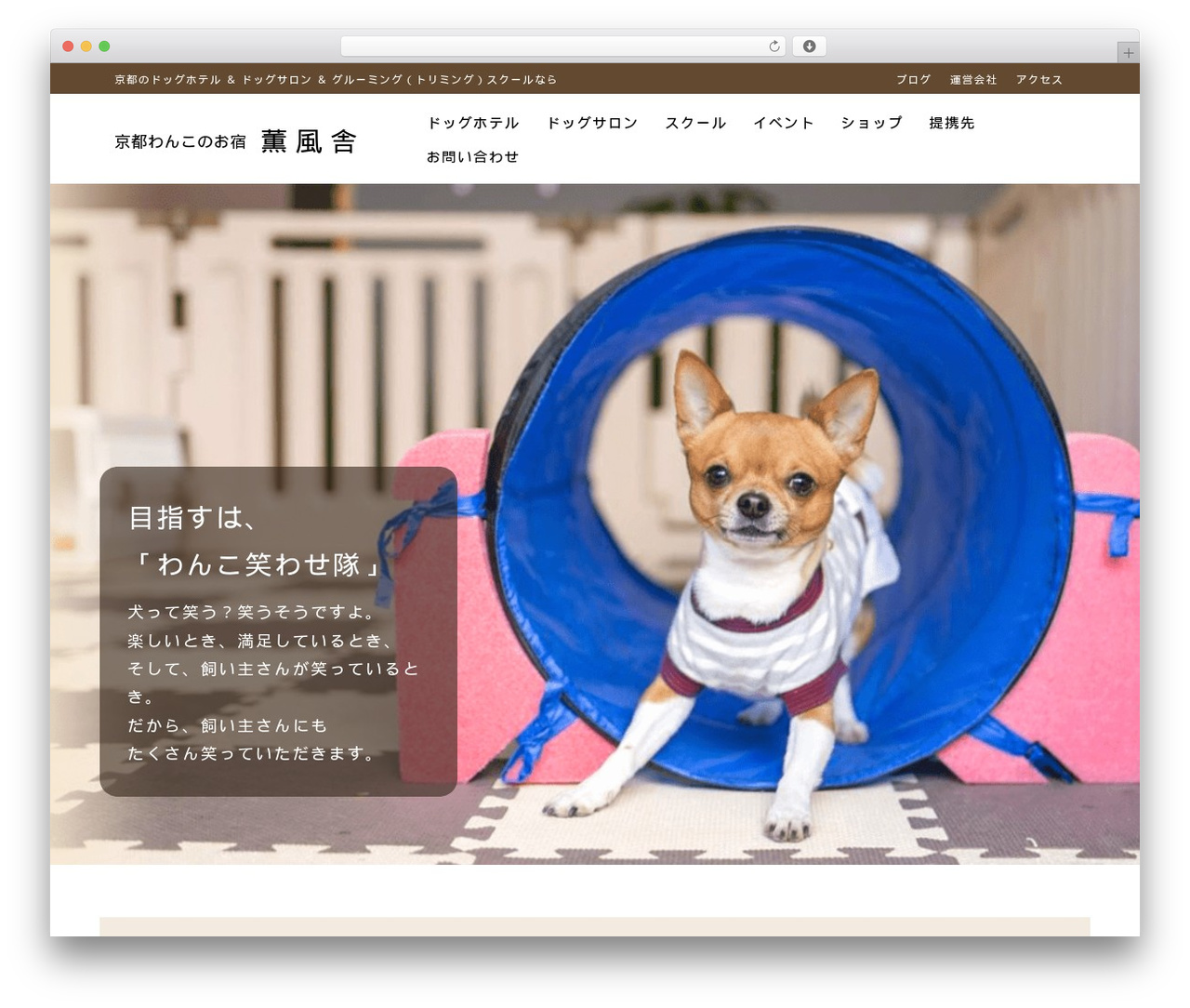WP theme OOPS! - kumpoosha.com WP theme OOPS! - kumpoosha.com
