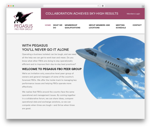 WP theme Pegasus - pegasusfbo20.com