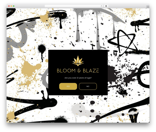 Cp age gate WordPress plugin - shopbloomandblaze.com