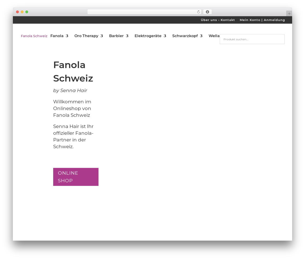 Divi theme WordPress - fanola-schweiz.ch