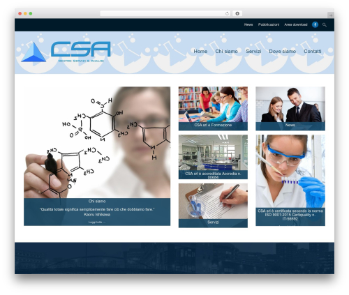 Ajaxy search form WordPress plugin - csaanalisi.com