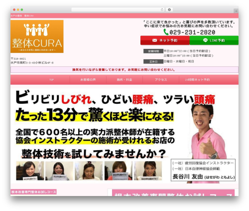 WordPress theme Selfull - mito-cura.com