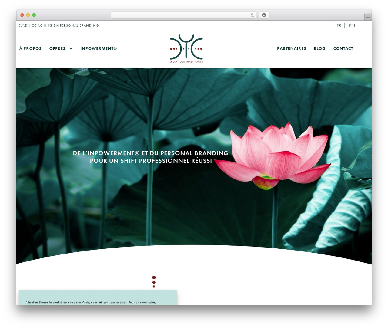 Hello Elementor WordPress theme - eyecoaching.fr