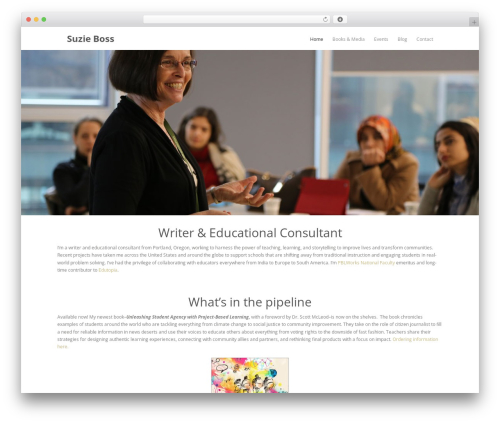 Themetrust social WordPress plugin - suzieboss.com