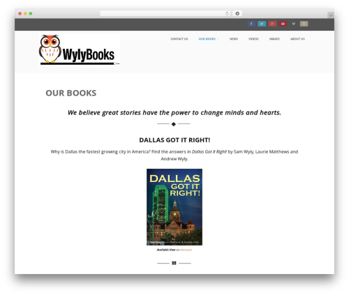 Theme WordPress Optimizer PRO - wylybooks.com