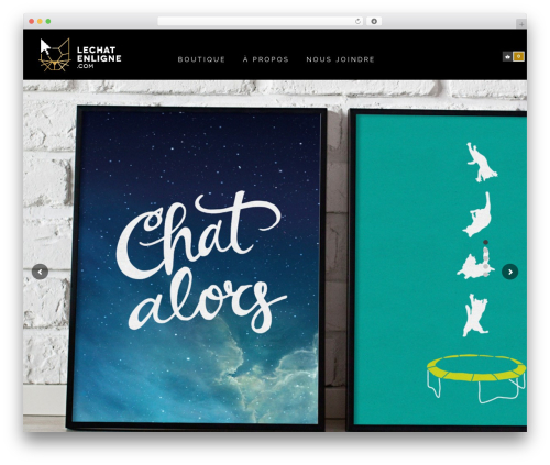 CoolStuff WordPress theme - lechatenligne.com