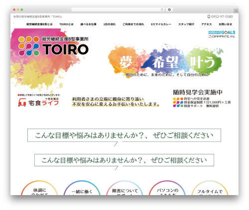 Vk video block pro WordPress plugin - toiro-saga.com