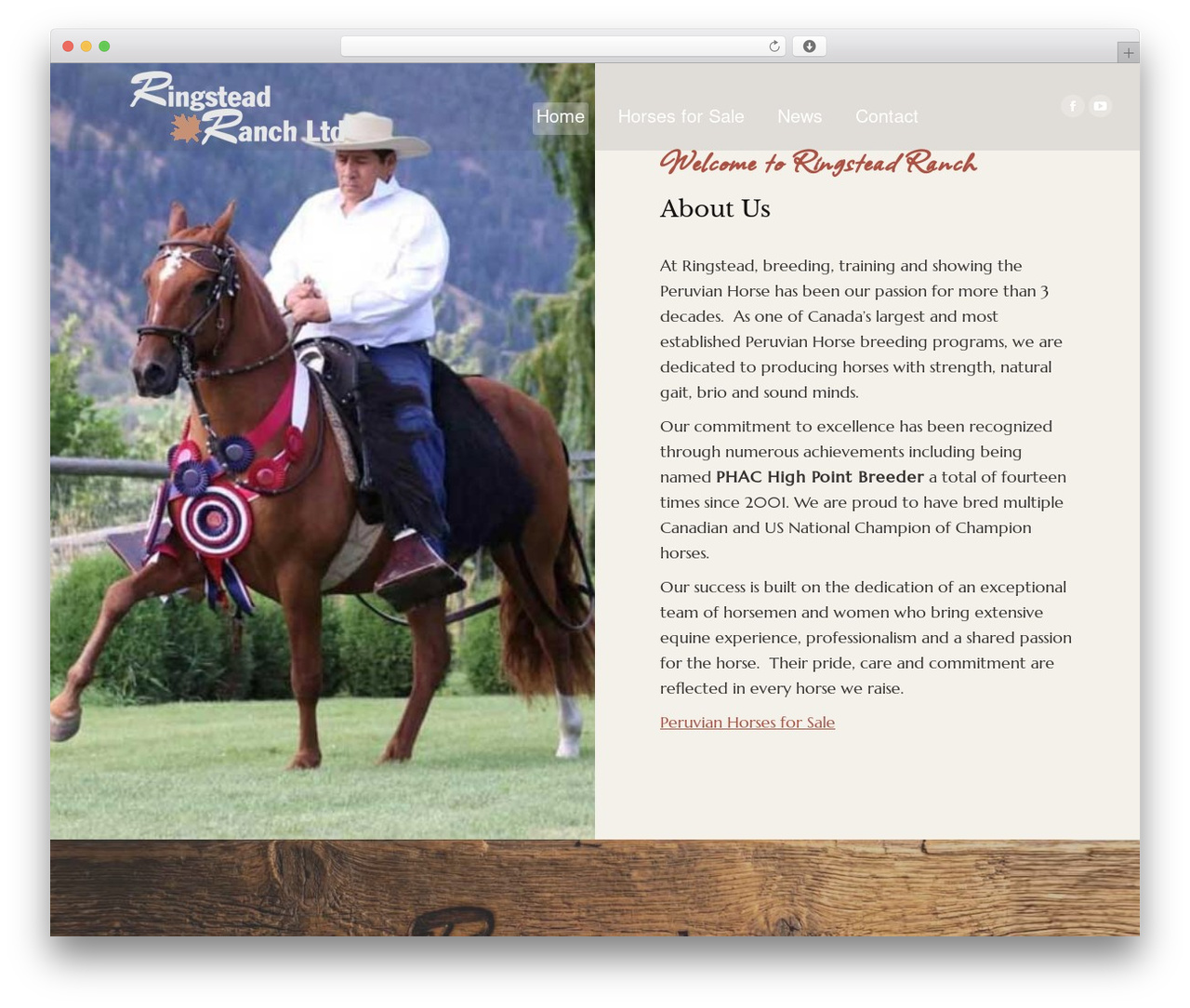 WordPress theme The7 - ringsteadranch.com