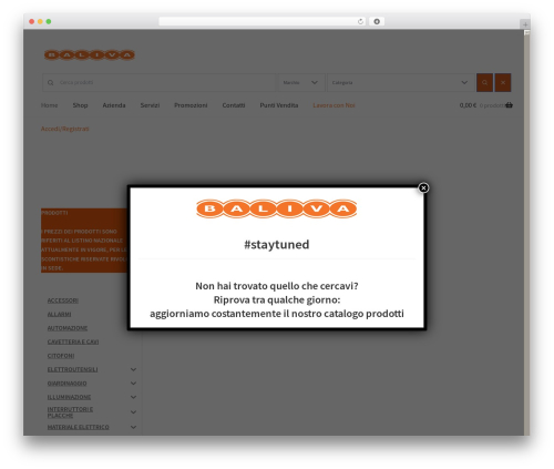 Dynamic product categories design WordPress plugin - baliva.net