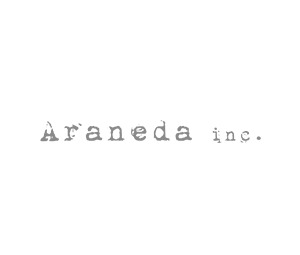 Theme WordPress ARANEDA-PC Theme WordPress ARANEDA-PC