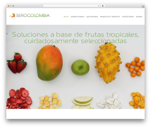 Qtranslate xt 3.16.1 WordPress plugin - serocolombia.com