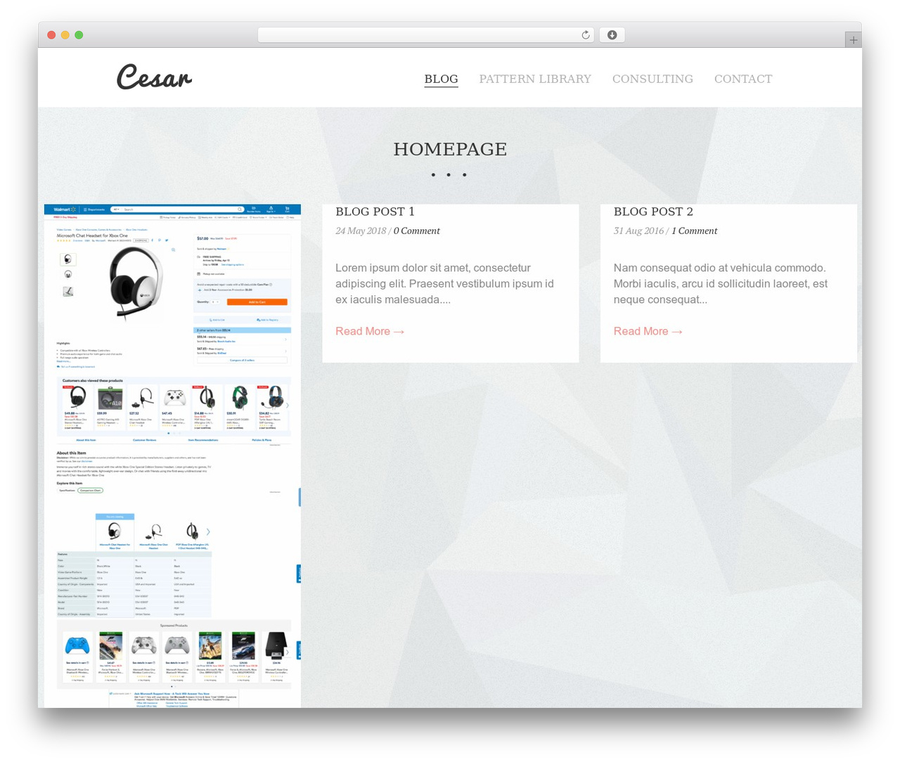WordPress theme Cesar - ecommercepatterns.com WordPress theme Cesar - ecommercepatterns.com