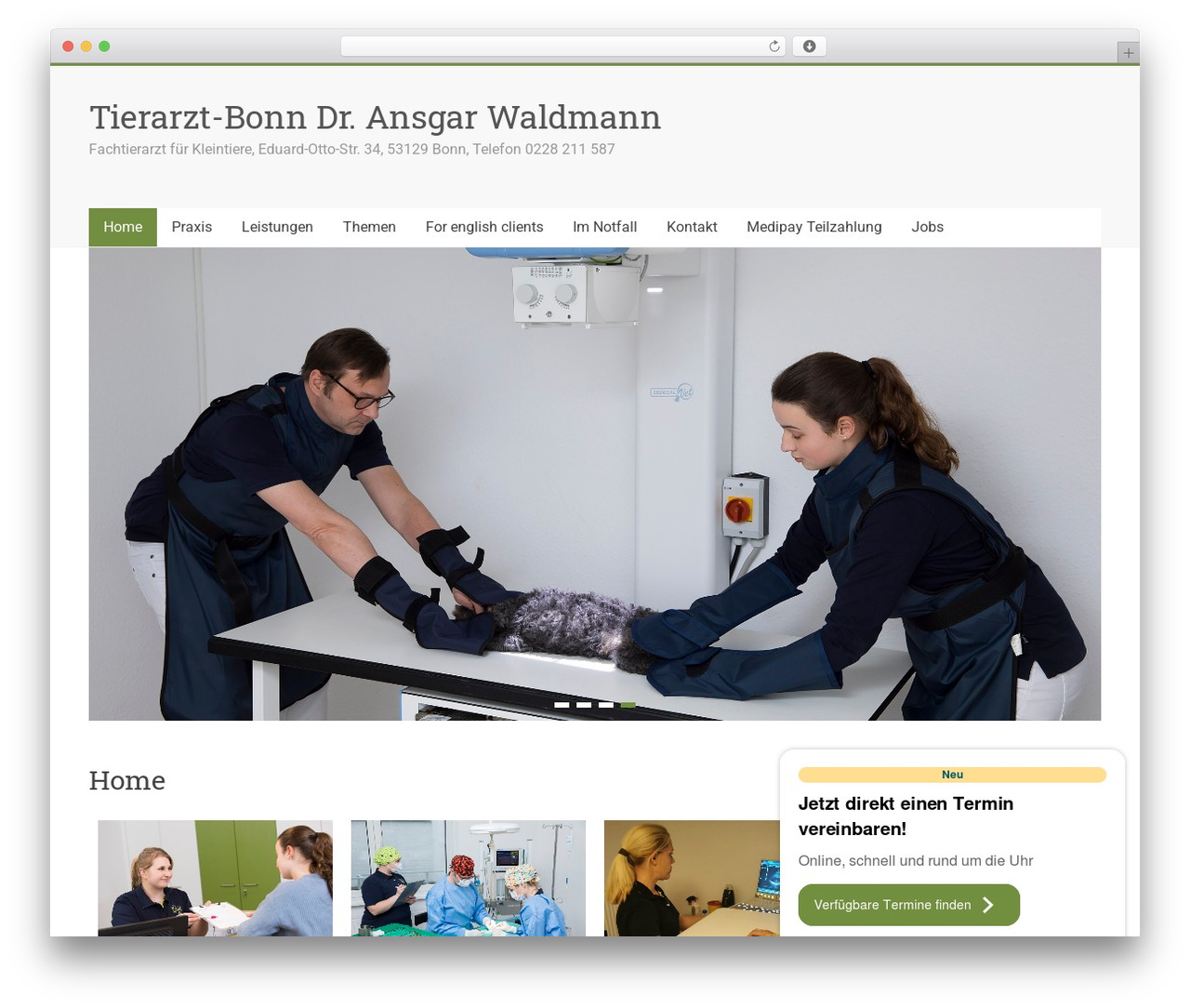Accelerate WordPress theme - tierarzt-bonn.de