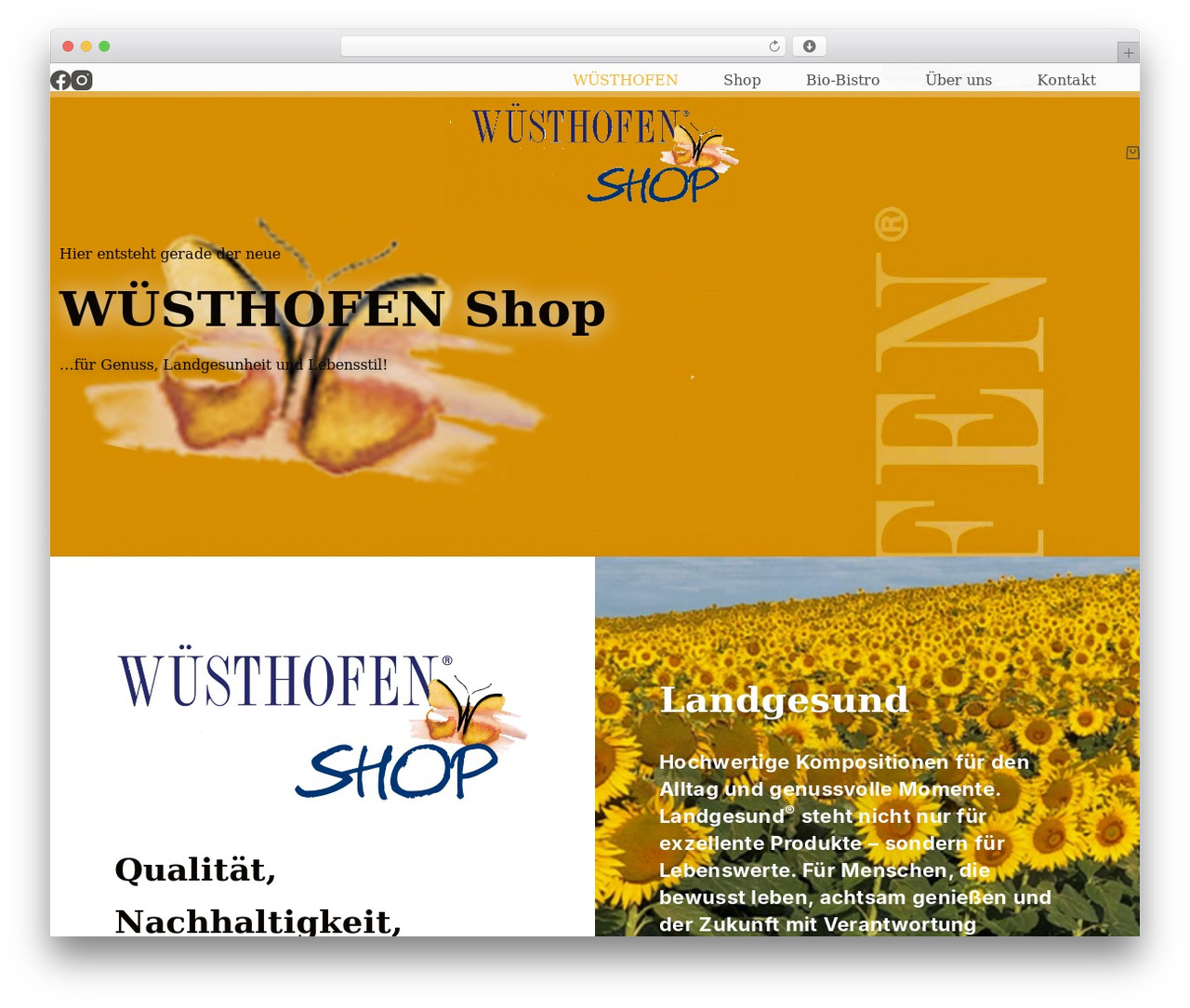 Blocksy WordPress store theme - wuesthofen.com Blocksy WordPress store theme - wuesthofen.com