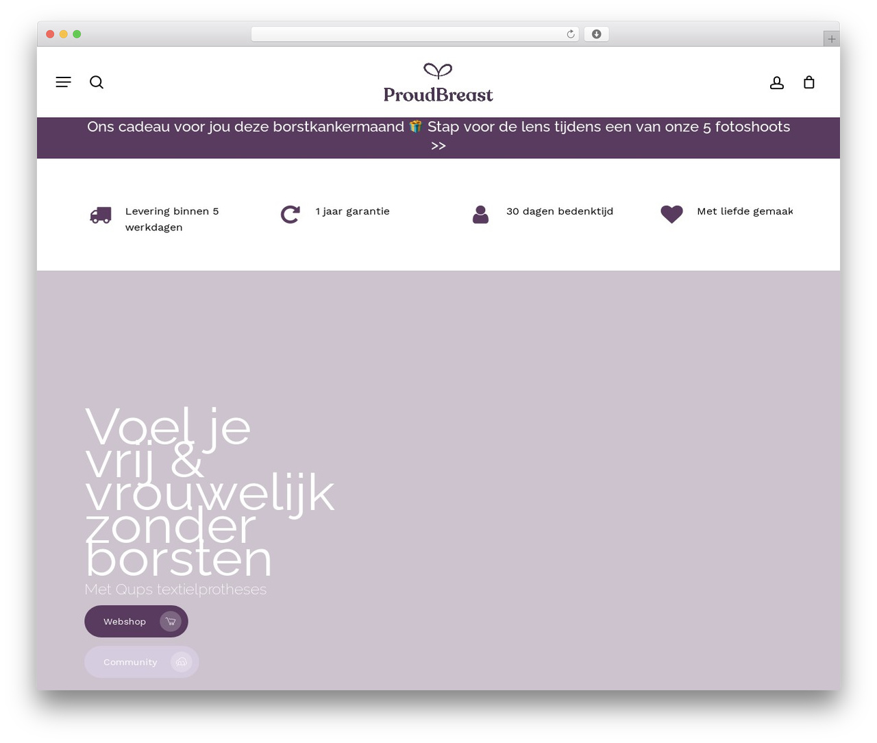 Salient WordPress theme - proudbreast.nl