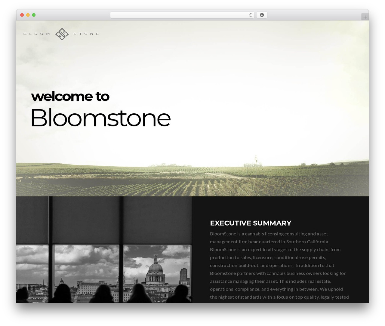WordPress theme Consulta - bloomstoneco.com WordPress theme Consulta - bloomstoneco.com