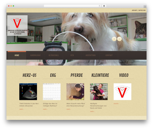 WordPress theme cherry - tier-sono.de