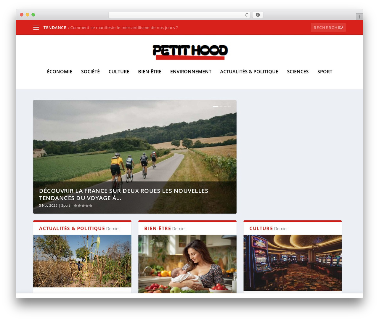 Extra WordPress theme - petithood.com Extra WordPress theme - petithood.com