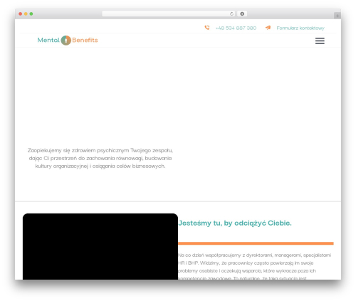 Albacross WordPress plugin - mental-benefits.com