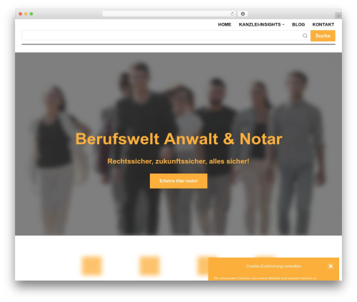 Ionos assistant WordPress plugin - berufswelt-notar.de