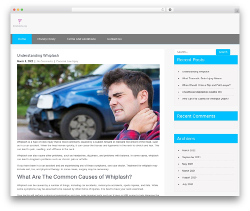 SKT Strong WordPress theme - dctandems.org