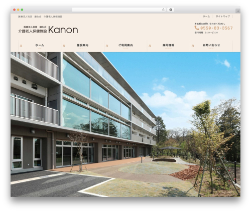 Lightning skin pale WordPress plugin - roken-kanon.com