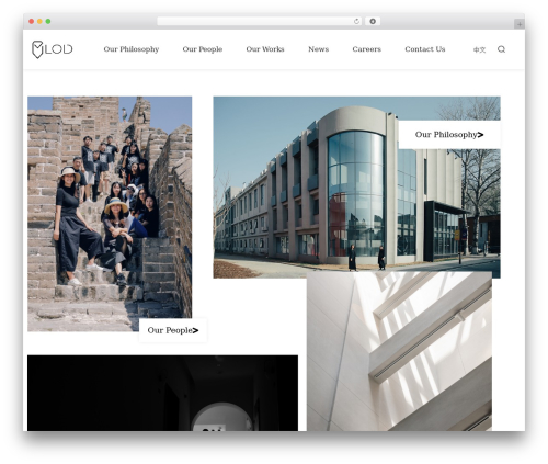 VARA top WordPress theme - lodspace.com